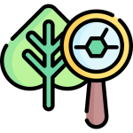 Espacio de la Ciencia